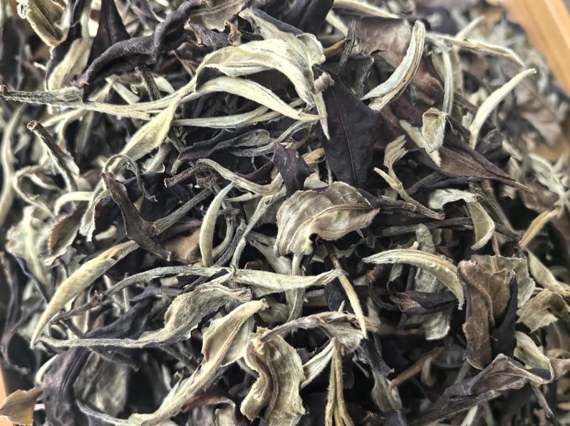 云南普洱茶选购指南：开启茶叶探索之旅